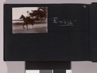 Go to image 78.