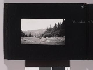 Go to image 42.