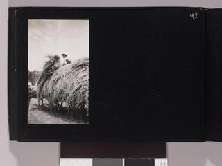 Go to image 44.