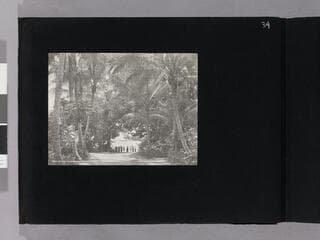 Go to image 36.