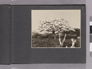 Go to image 9.