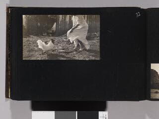 Go to image 34.
