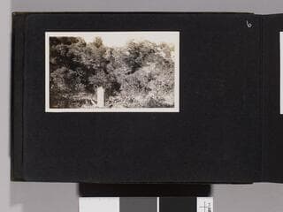Go to image 8.