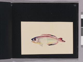 Go to image 35.