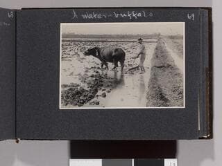 Go to image 71.