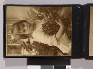 Go to image 78.