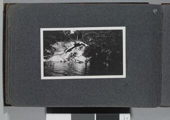Go to image 42.