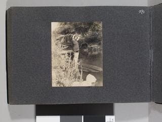 Go to image 100.