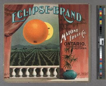 Eclipse Brand