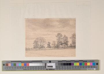 Farm in the Trees