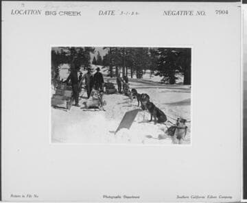Big Creek Dog Teams