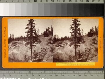 50. Tunnel Hill Cut