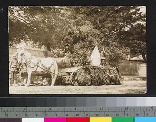Go to image 1.