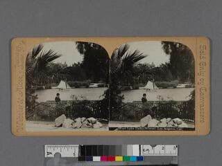 Go to image 1.