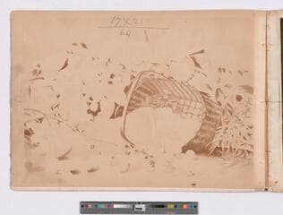 Go to image 27.