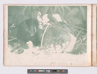 Go to image 19.