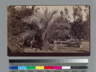 Go to image 1.