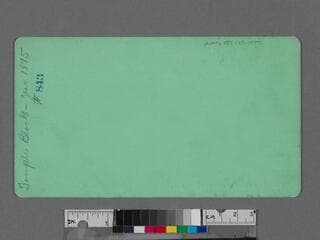 Go to image 2.