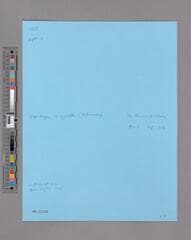 Go to image 5.