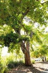 Go to image 4.