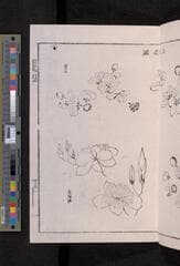 Go to image 227.
