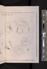 Go to image 232.