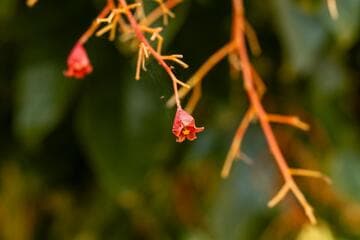 Go to image 2.
