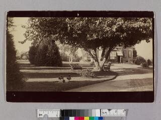 Go to image 1.