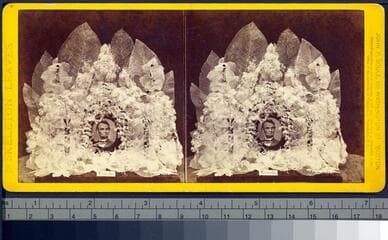 Go to image 1.