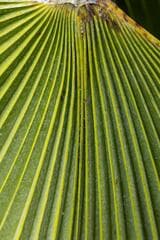 Go to image 5.