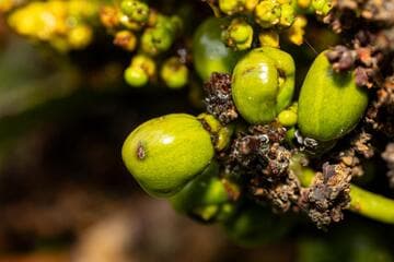 Go to image 9.