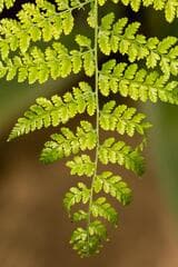 Go to image 2.