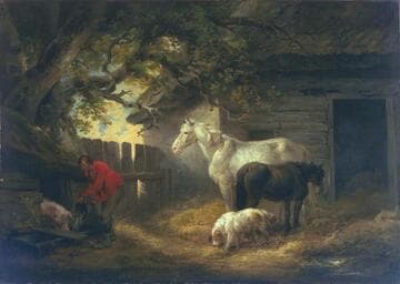 A Farmyard