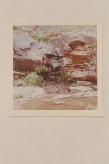 Melody or Melodic Spring. Mile 1 on the left bank of the San Juan River