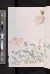 Go to image 123.
