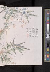 Go to image 184.