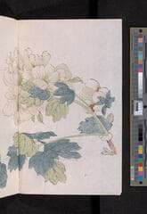 Go to image 278.