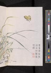 Go to image 160.