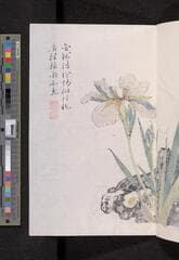 Go to image 163.