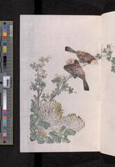 Go to image 291.