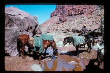 Cha Canyon