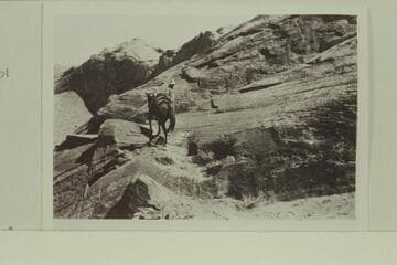 Blacks Trail and steps out of the canyon of the Escalante River. Jess Barker is leading a horse up the trail
