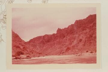 Head of Rapid #5