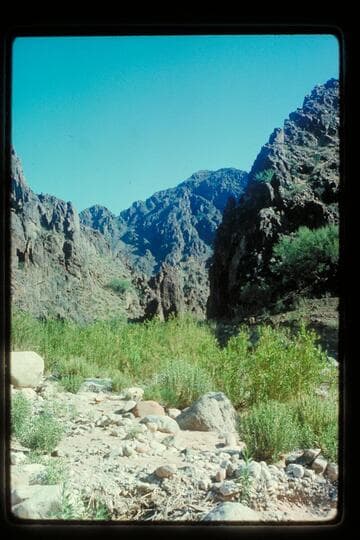 Diamond Creek