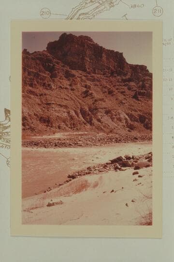 Head of Rapid #3