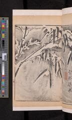Go to image 223.