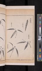 Go to image 166.