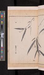 Go to image 173.