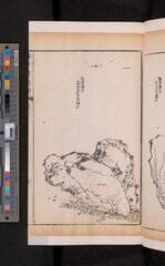 Go to image 195.