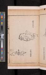 Go to image 293.